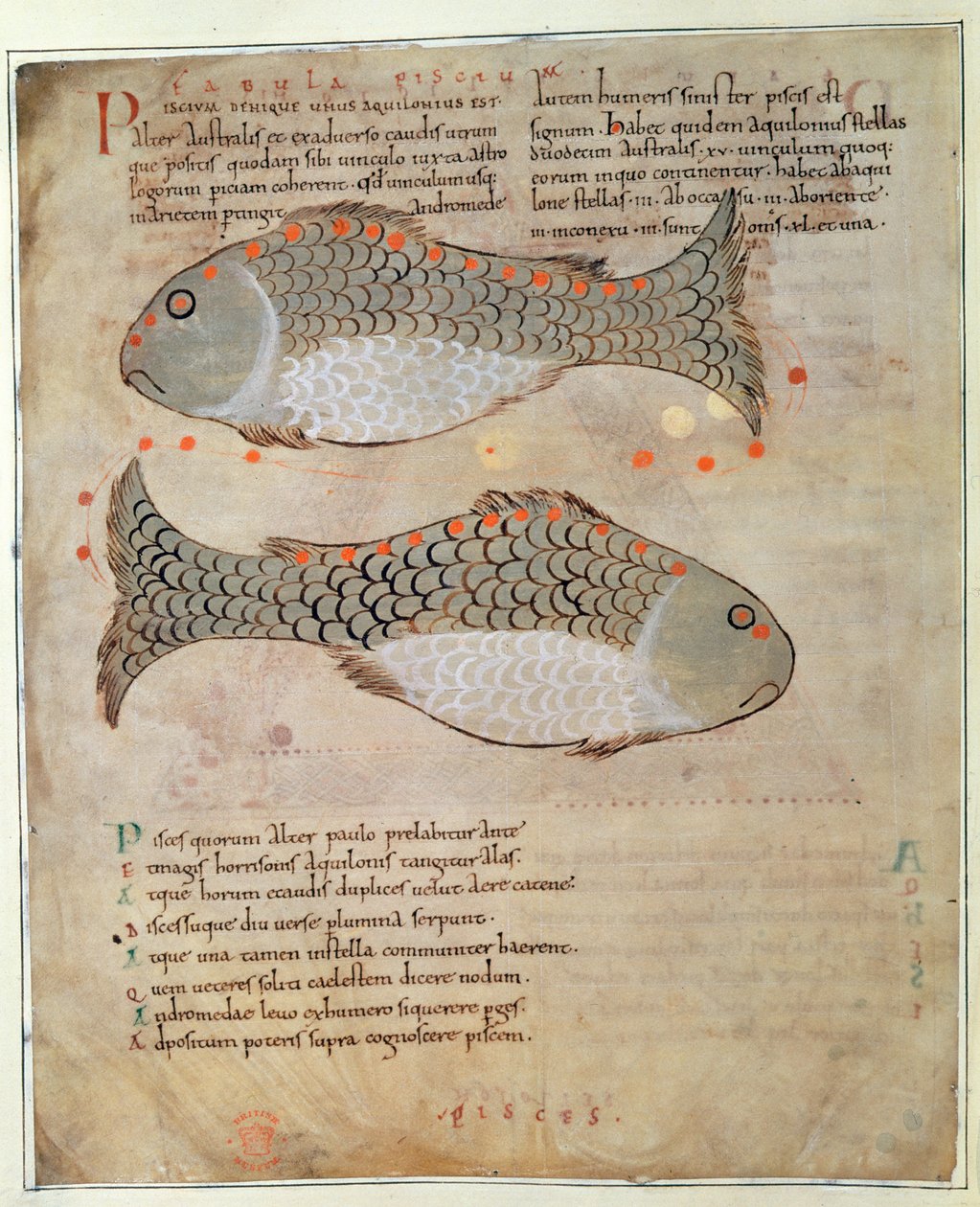 Cott Tib B V Par I 33v The Constellation Pisces من 