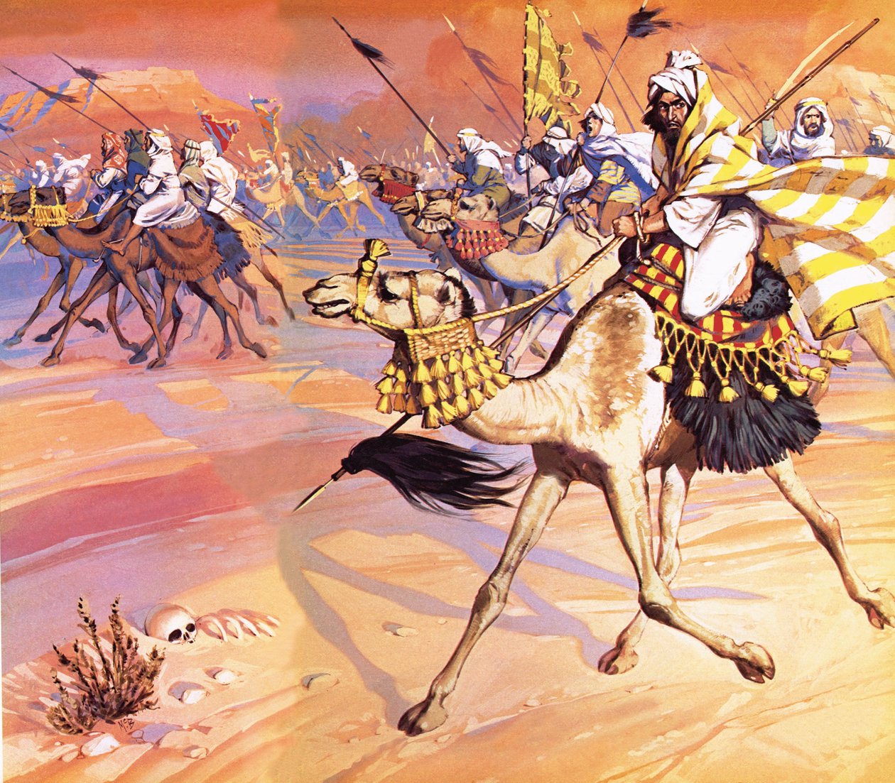  بواسطة أنجوس ماكبرايد