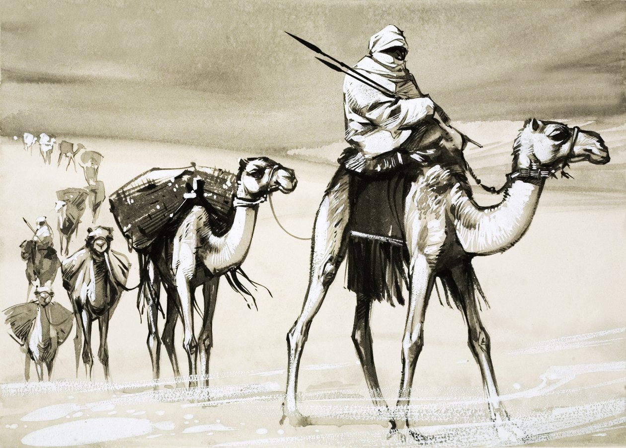  بواسطة أنجوس ماكبرايد