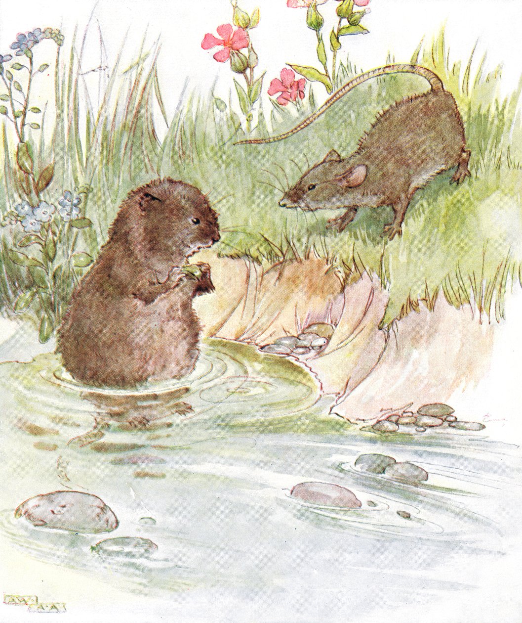 "تم استدعاء Squire Water Rat ، صديق قديم للعائلة" ، رسم توضيحي من "كتاب الموسيقى الخبيثة" ، نشره Thomas Nelson und Sons ، 1920s بواسطة آن أندرسون