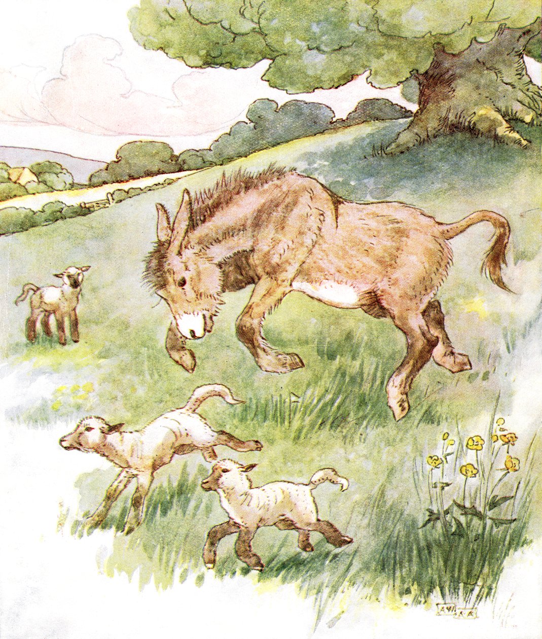 "قفزت طوال اليوم في المرج المشمس مع الحملان الصغيرة السخيفة" ، رسم توضيحي من كتاب Naughty Neddy ، الذي نشره Thomas Nelson und Sons ، 1920s بواسطة آن أندرسون