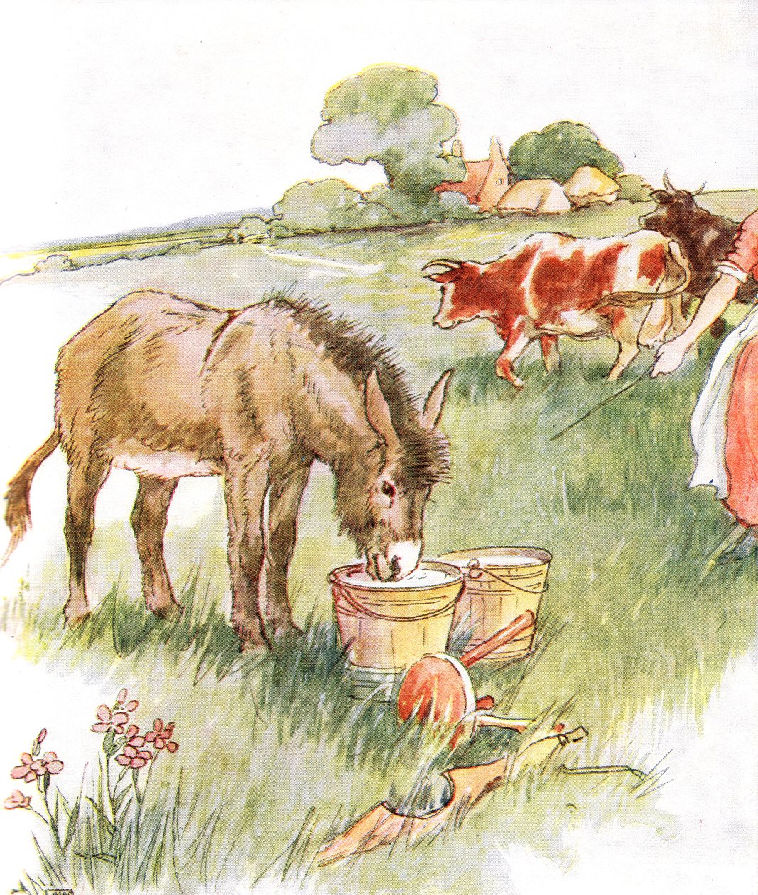 "شاهد دلتين مليئتين بالحليب وكان لديهما مشروب طويل جميل" ، رسم توضيحي من كتاب Naughty Neddy ، الذي نشره توماس نيلسون أند سنز ، 1920s بواسطة آن أندرسون