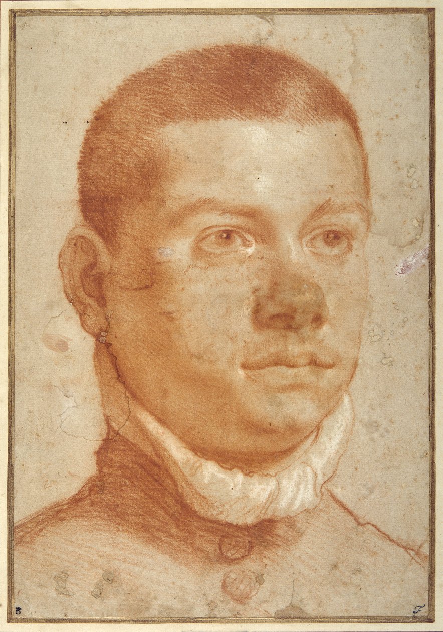 Portrait-head of a young man (red chalk) بواسطة أنيبال كاراتشي