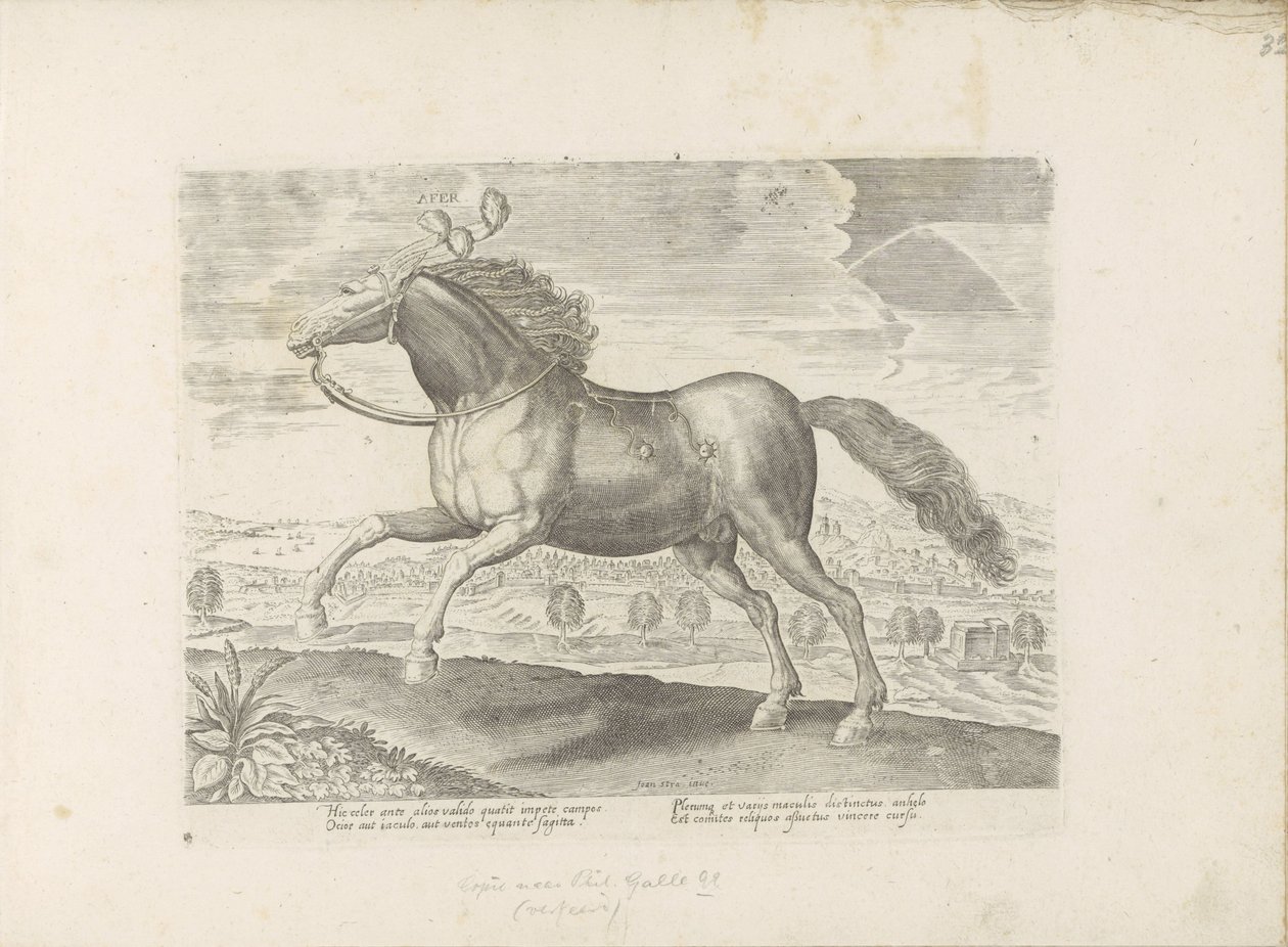 Arabisch paard إحضار (العنوان على الكائن) Paardenrassen uit de Koninklijke stallen van Don Juan van Oostenrijk (عنوان المسلسل) الحصان الذي فيه جميع أنواع النبلاء: اختيار سلوك خيول متميز من مختلف أنحاء العالم (...) (عنوان السلسلة على الكائن) بواسطة مجهول