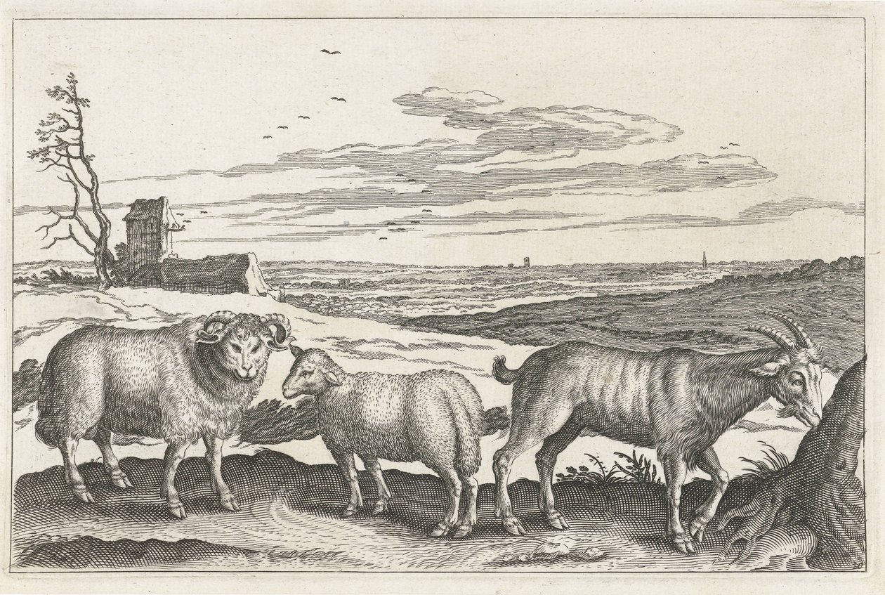 الماعز والغنم الحيوانات ذات الأرجل الأربعة (عنوان السلسلة) Animalivm Qvaddrvpedvm (عنوان المسلسل) بواسطة مجهول