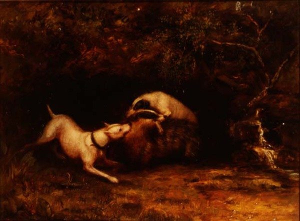 الكلاب تضرب بادجر ، c.1870 بواسطة مجهول