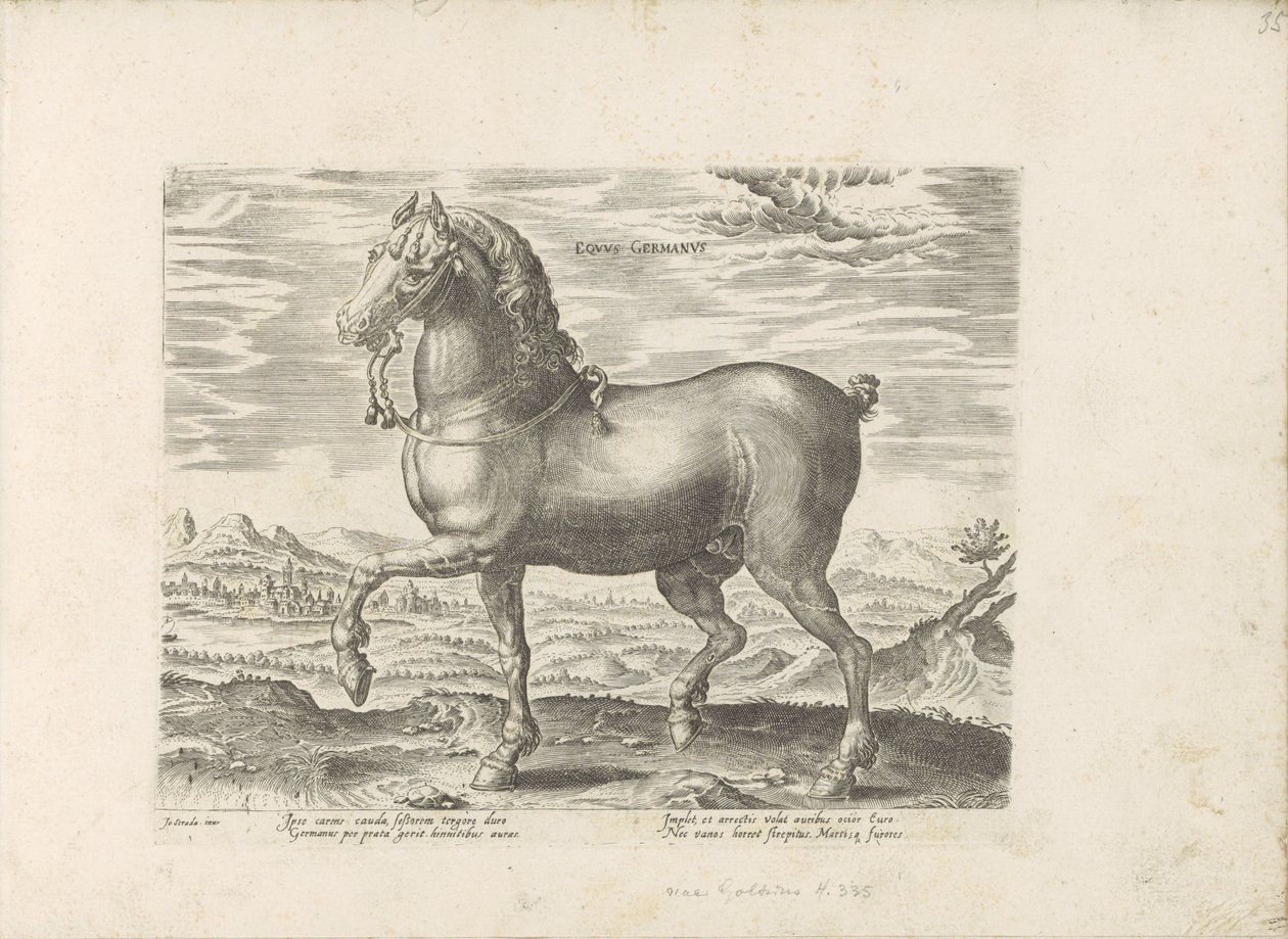 Duits paard الحصان الألماني (العنوان على الكائن) Paardenrassen uit de Koninklijke stallen van Don Juan van Oostenrijk (عنوان المسلسل) الحصان الذي فيه جميع أنواع النبلاء: تم اختيار سلوك خيول متميز من مختلف بقاع العالم (...) (عنوان المسلسل على ob بواسطة مجهول