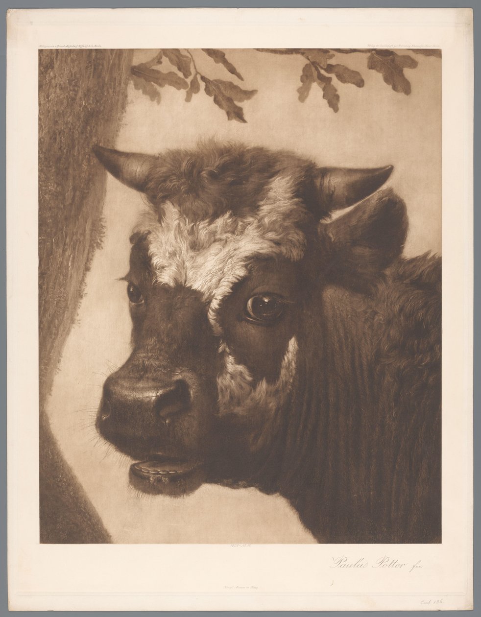 استنساخ الصور من تفاصيل لوحة الثور بواسطة Paulus Potter ، coll. موريتشويس 1902 - لا. 15. / كونيجل. متحف ام هاج (عنوان المسلسل) بواسطة مجهول