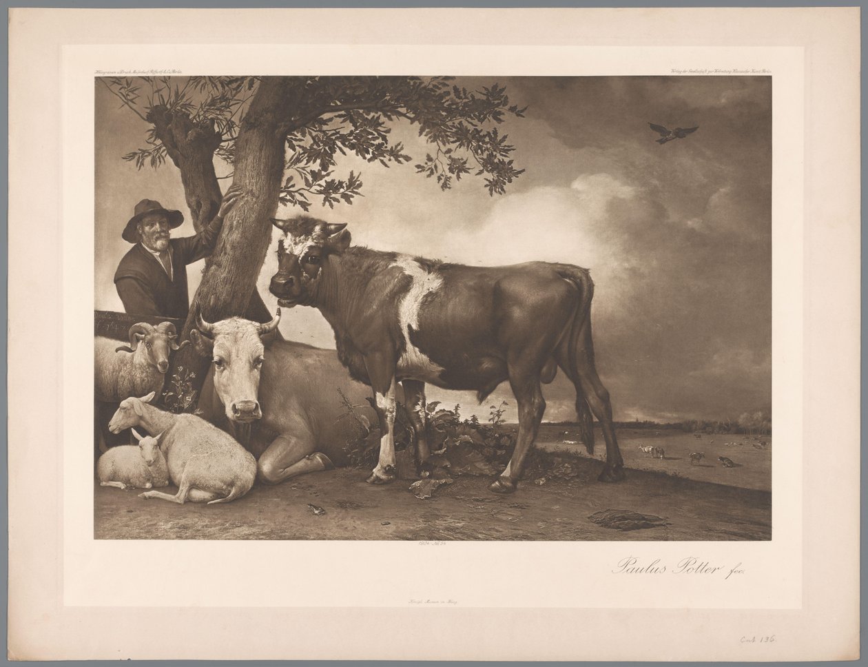 استنساخ الصور للرسم الثور بواسطة Paulus Potter ، coll. موريتشويس 1904 - لا. 54. / كونيجل. متحف ام هاج (عنوان المسلسل) بواسطة مجهول