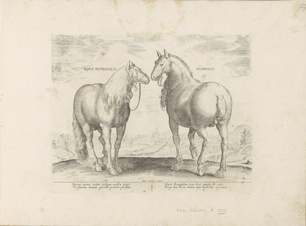 Hengst en merrie uit Rome الحصان الروماني (العنوان على الكائن) Paardenrassen uit de Koninklijke stallen van Don Juan van Oostenrijk (عنوان المسلسل) الحصان الذي فيه جميع أنواع النبلاء: يتميز سلوك خيول منتقاة من مختلف أنحاء العالم ( بواسطة مجهول
