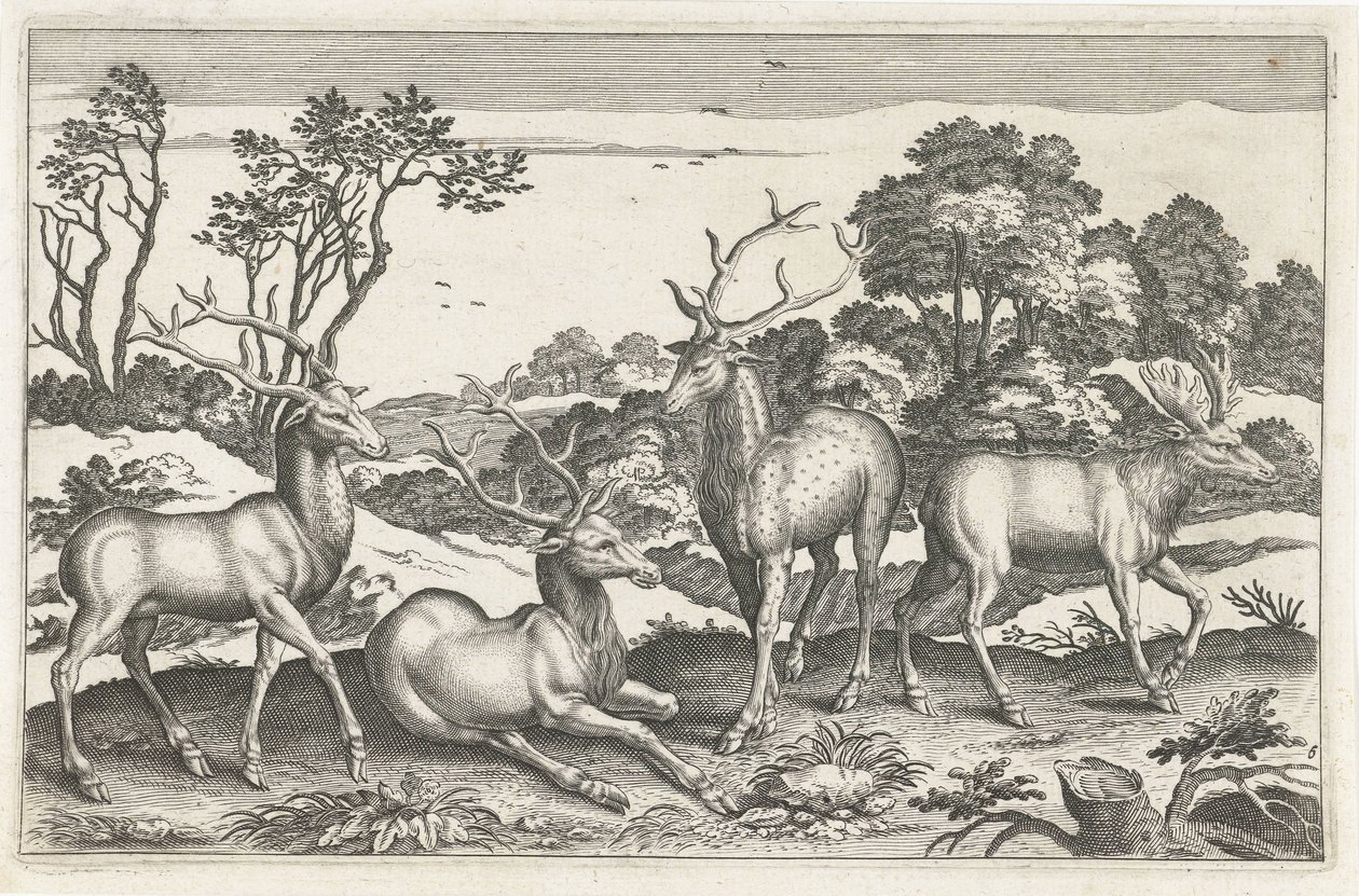 عزيزي الحيوانات ذات الأرجل الأربعة (عنوان السلسلة) Animalivm Qvaddrvpedvm (عنوان المسلسل) بواسطة مجهول