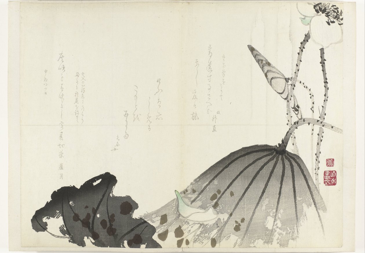 ورقة اللوتوس ألبوم Shijo-surimono من الفترة 1840-1900 (عنوان السلسلة) بواسطة مجهول