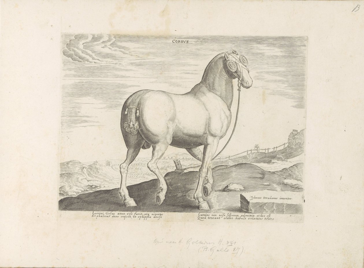 حصان من كورسيكا القلب (العنوان على الكائن) Paardenrassen uit de Koninklijke stallen van Don Juan van Oostenrijk (عنوان المسلسل) الحصان الذي فيه جميع أنواع النبلاء: تم اختيار سلوك خيول متميز من مختلف أنحاء العالم (...) (عنوان السلسلة على obje بواسطة مجهول