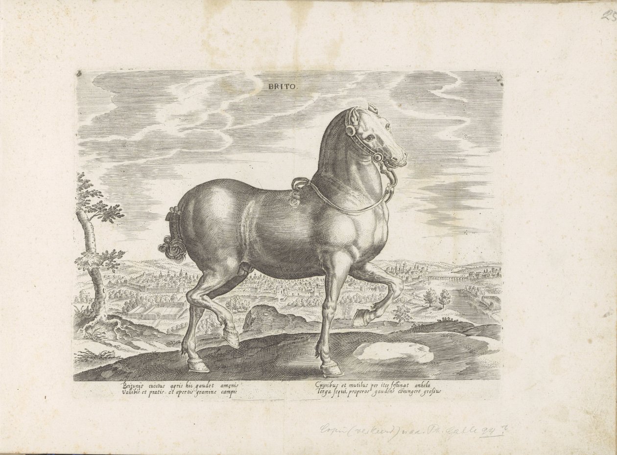 Paard uit Engeland بريتو (العنوان على الكائن) Paardenrassen uit de Koninklijke stallen van Don Juan van Oostenrijk (عنوان المسلسل) الحصان الذي فيه جميع أنواع النبلاء: تم اختيار سلوك خيول متميز من مختلف أنحاء العالم (...) (عنوان السلسلة على obje بواسطة مجهول