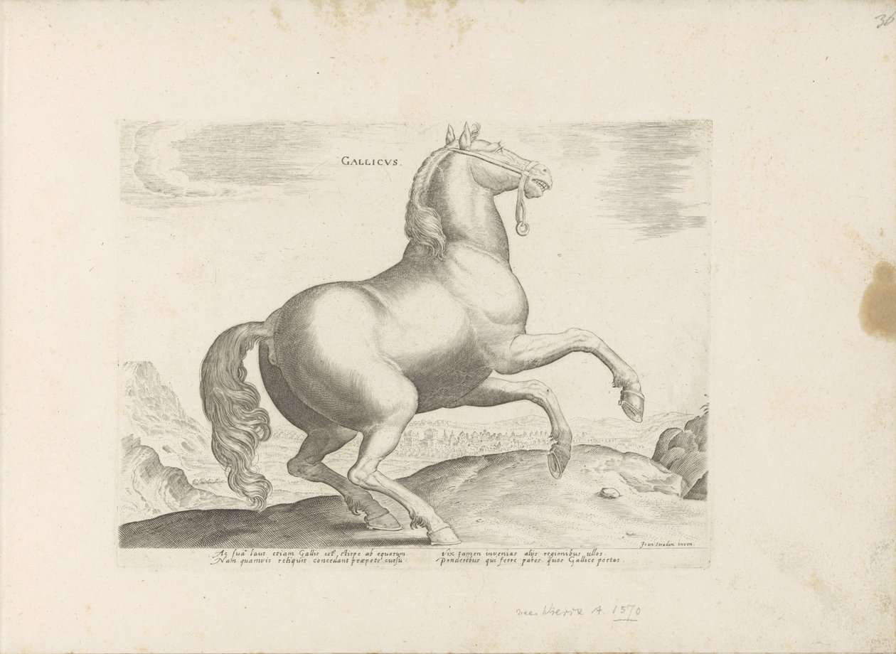 Paard uit Frankrijk الفرنسية (العنوان على الكائن) Paardenrassen uit de Koninklijke stallen van Don Juan van Oostenrijk (عنوان المسلسل) الحصان الذي فيه جميع أنواع النبلاء: تم اختيار سلوك خيول متميز من مختلف بقاع العالم (...) (عنوان المسلسل على بواسطة مجهول