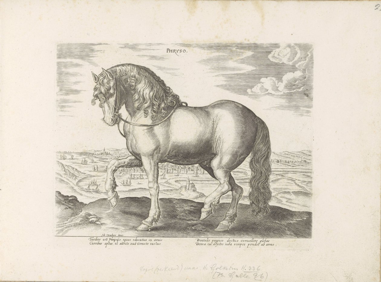 Paard uit Friesland Phryso (العنوان على الكائن) Paardenrassen uit de Koninklijke stallen van Don Juan van Oostenrijk (عنوان المسلسل) الحصان الذي فيه جميع أنواع النبلاء: تم اختيار سلوك خيول متميز من مختلف بقاع العالم (...) (عنوان المسلسل على ob بواسطة مجهول