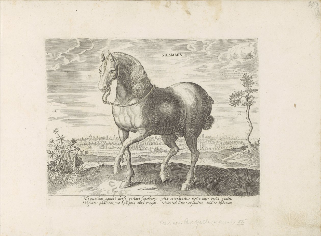 Paard uit Gelre Sicamber (العنوان على الكائن) Paardenrassen uit de Koninklijke stallen van Don Juan van Oostenrijk (عنوان المسلسل) الحصان الذي فيه جميع أنواع النبلاء: تم اختيار سلوك خيول متميز من مختلف أنحاء العالم (...) (عنوان السلسلة على obje بواسطة مجهول