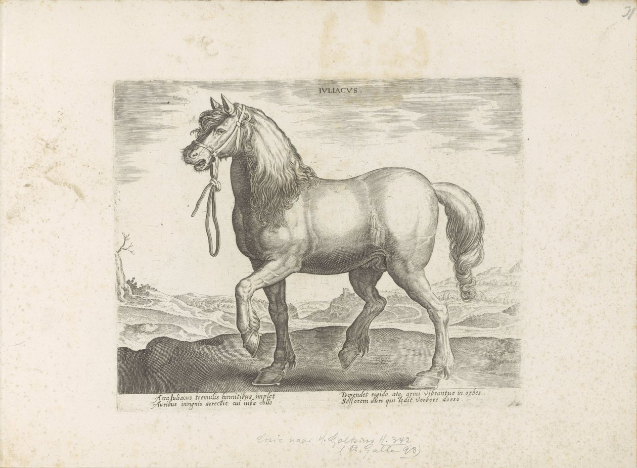 Paard uit Gulik (جولياكوس) جوليا (العنوان على الكائن) Paardenrassen uit de Koninklijke stallen van Don Juan van Oostenrijk (عنوان المسلسل) الحصان الذي فيه جميع أنواع النبلاء: يتم اختياره من مختلف أنحاء العالم وتتميز بسلوك الخيول (...) (سلسلة من بواسطة مجهول