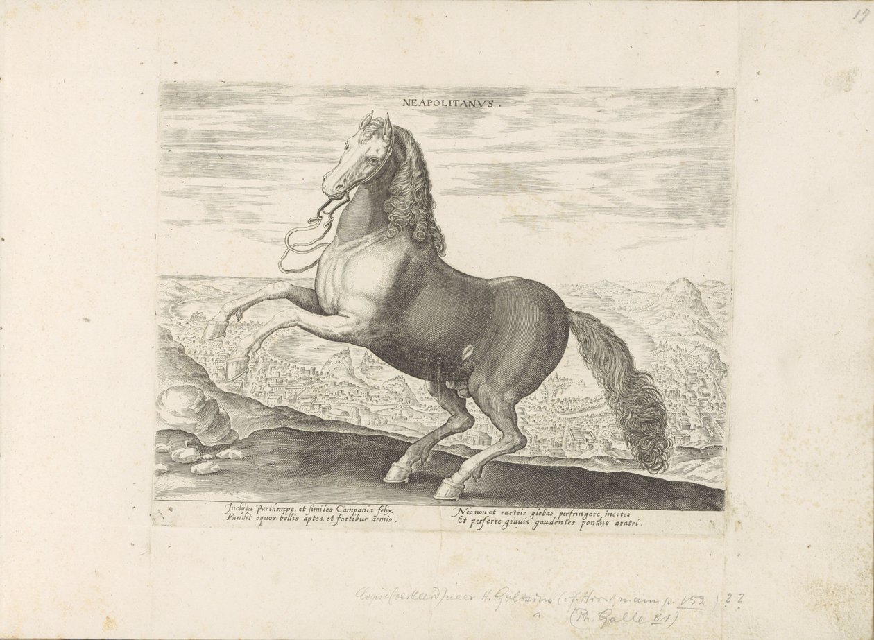 Paard uit Napels نابولي (العنوان على الكائن) Paardenrassen uit de Koninklijke stallen van Don Juan van Oostenrijk (عنوان المسلسل) الحصان الذي فيه جميع أنواع النبلاء: تم اختيار سلوك خيول متميز من مختلف بقاع العالم (...) (عنوان المسلسل على بواسطة مجهول