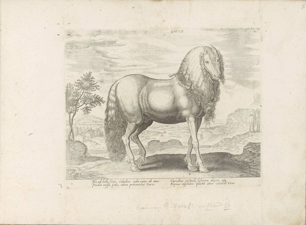 Paard uit Roemenië (Dacus) Dacus (العنوان على الكائن) Paardrassen uit de Koninklijke stallen van Don Juan van Oostenrijk (عنوان السلسلة) الحصان ، حيث يتم اختيار كل نوع من النبلاء: سلوك خيول متميز من أجزاء مختلفة من العالم (. ..) (عنوان المسلسل بواسطة مجهول