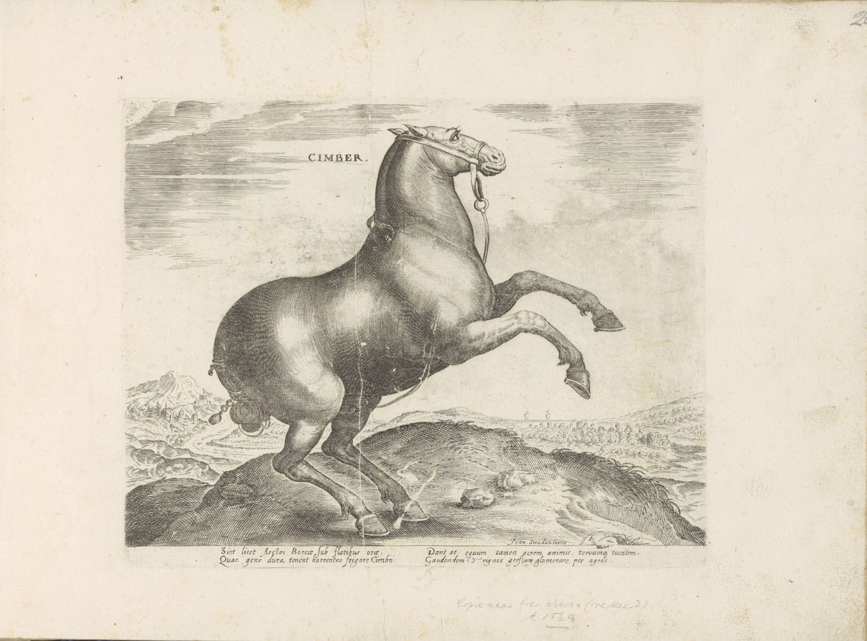 Paard uit Scythia سيمبر (العنوان على الكائن) Paardenrassen uit de Koninklijke stallen van Don Juan van Oostenrijk (عنوان المسلسل) الحصان الذي فيه جميع أنواع النبلاء: تم اختيار سلوك خيول متميز من مختلف أنحاء العالم (...) (عنوان السلسلة على obje بواسطة مجهول