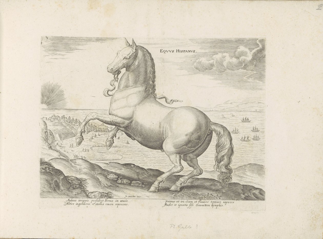 Paard uit Spanje الحصان الاسباني (العنوان على الكائن) Paardenrassen uit de Koninklijke stallen van Don Juan van Oostenrijk (عنوان المسلسل) الحصان الذي فيه كل أنواع النبلاء: سلوك خيول متميز من مختلف بقاع العالم مختار (...) (عنوان المسلسل) بواسطة مجهول