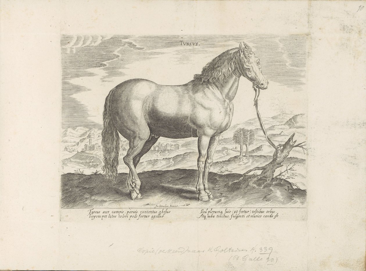 Paard uit Turkije التركية (العنوان على الكائن) Paardenrassen uit de Koninklijke stallen van Don Juan van Oostenrijk (عنوان المسلسل) الحصان الذي فيه جميع أنواع النبلاء: تم اختيار سلوك خيول متميز من مختلف أنحاء العالم (...) (عنوان السلسلة على obje بواسطة مجهول
