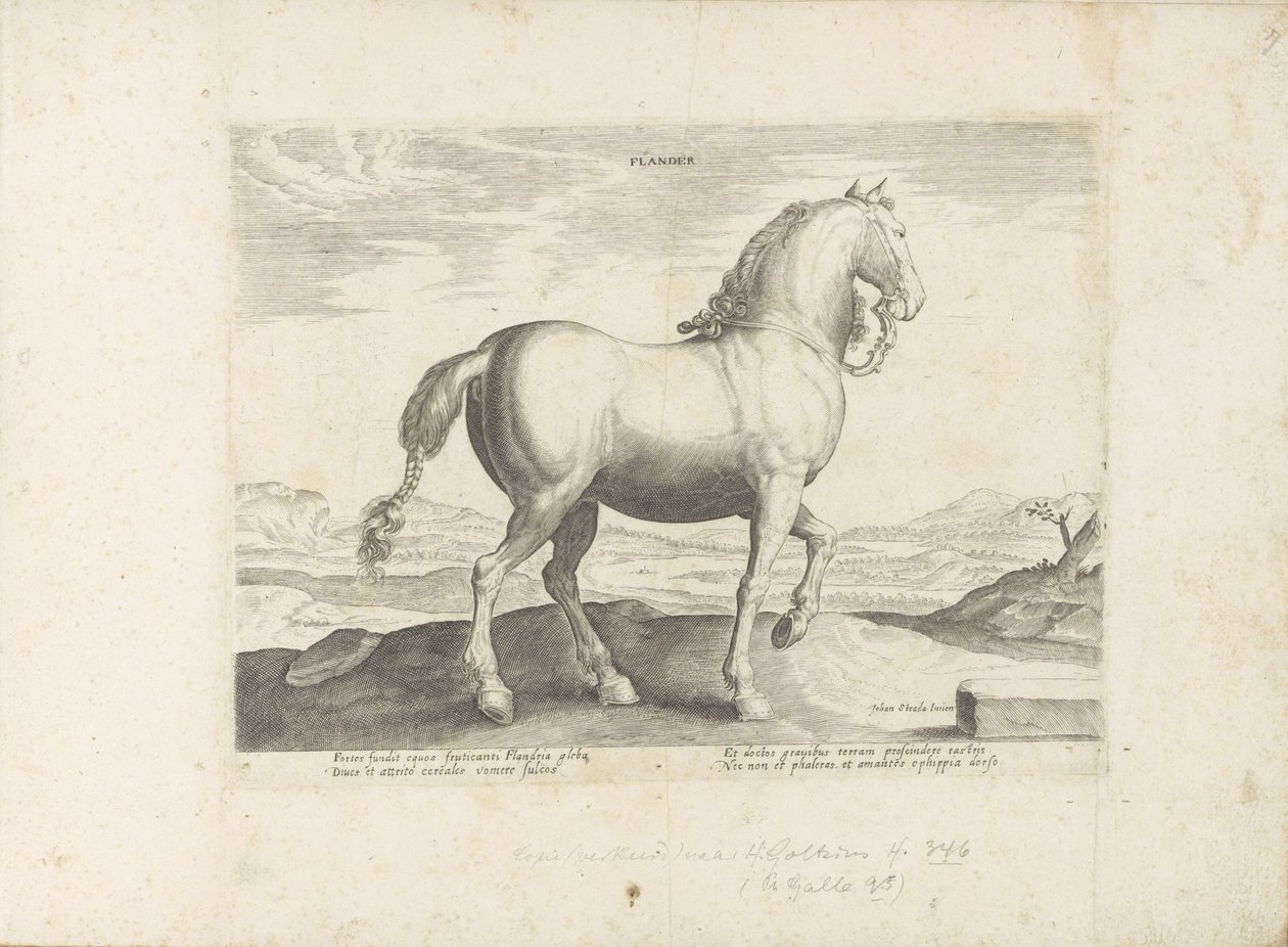Paard uit Vlaanderen Flander (العنوان على الكائن) Paardrassen uit de Koninklijke stallen van Don Juan van Oostenrijk (عنوان السلسلة) الحصان ، حيث كل سلالة نبيلة: سلوك الخيول المختارة من أجزاء مختلفة من العالم (...) ( عنوان المسلسل على بواسطة مجهول