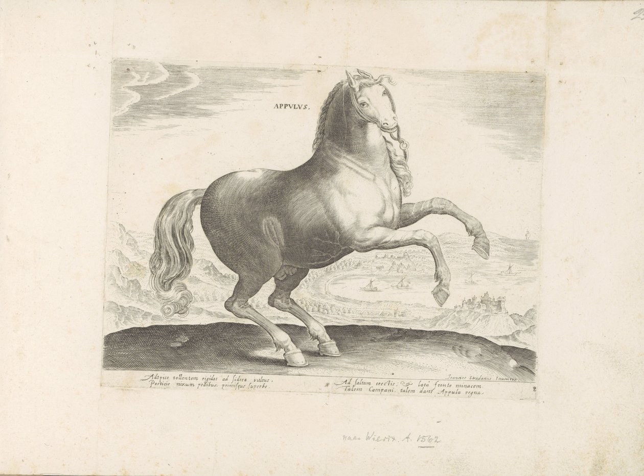 Paard uit Zuid-Italië Appulus (العنوان على الكائن) Paardrassen uit de Koninklijke stallen van Don Juan van Oostenrijk (عنوان السلسلة) الحصان ، حيث يتم اختيار كل نوع من النبلاء: سلوك الخيول المتميز عن أجزاء مختلفة من العالم (.. .) (عنوان المسلسل قيد التشغيل بواسطة مجهول