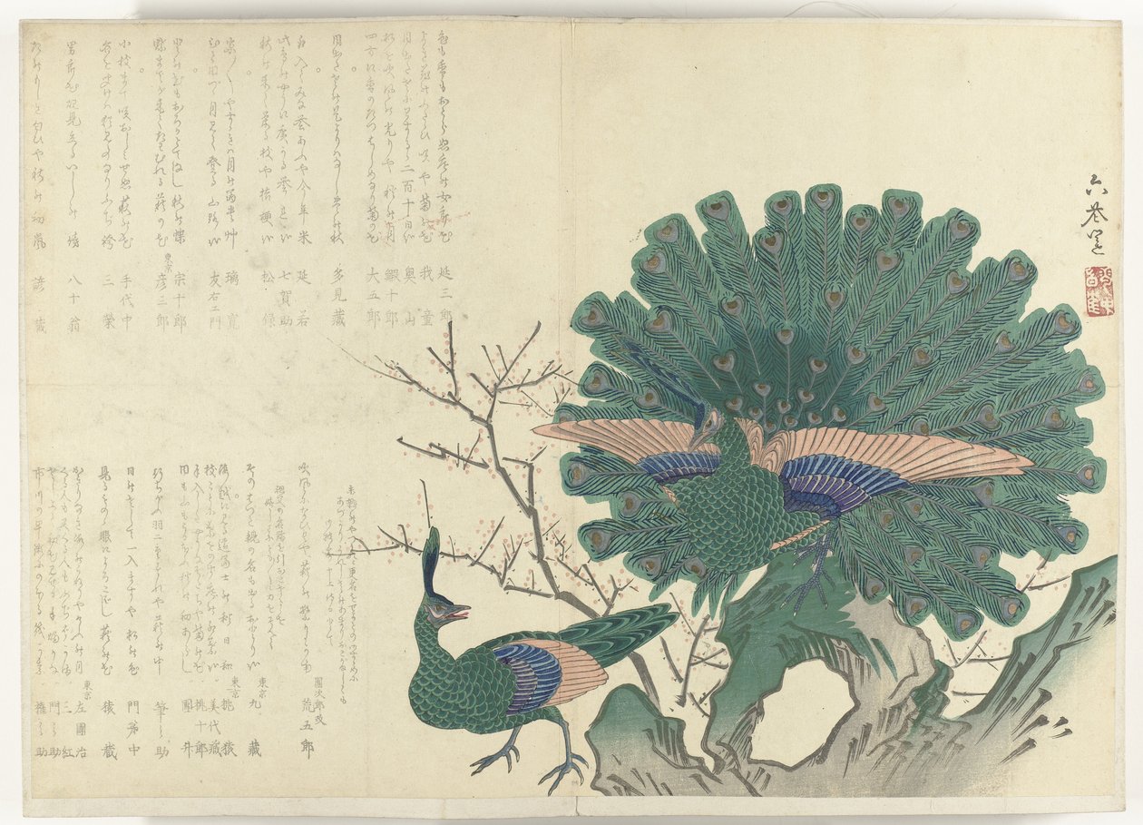 الطاووس ألبوم Shijo-surimono من الفترة 1840-1900 (عنوان السلسلة) بواسطة مجهول