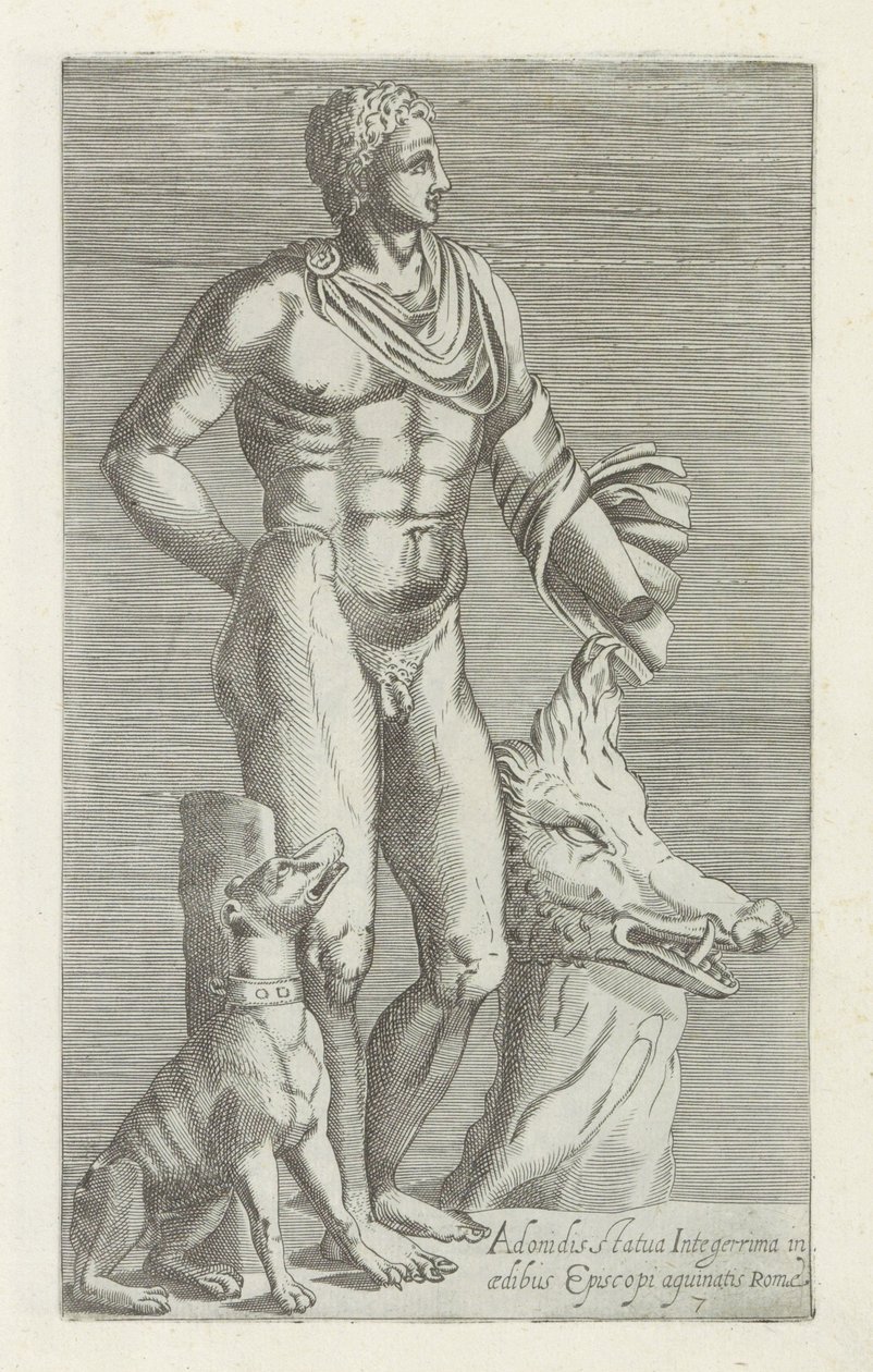 التقى Sculptuur van Adonis مع Jachthond en kop van een everzwijn أكمل تمثال لأدونيس في قصر أسقف روما (العنوان على الجسم) المنحوتات العتيقة في روما (عنوان السلسلة) أيقونة من التماثيل القديمة لمدينة روما والتي تظهر في الأماكن العامة بواسطة مجهول