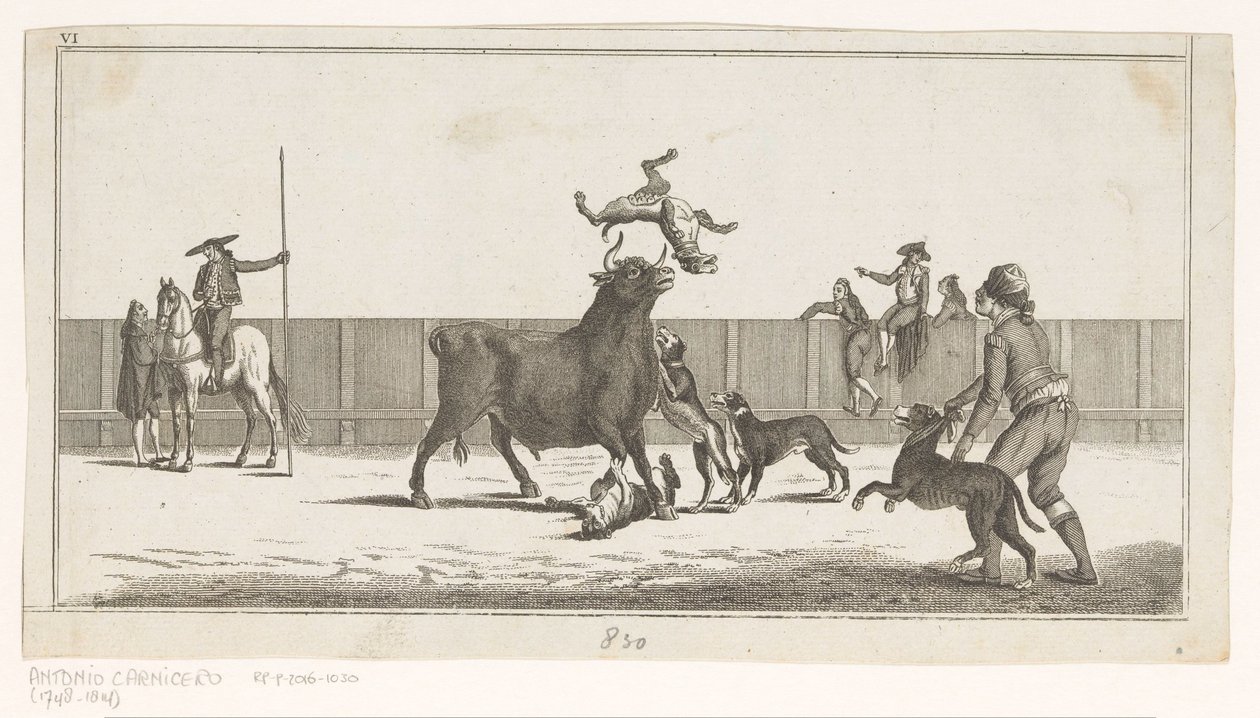 هاجمت الكلاب الثور Coleccion de las Principales suertes de una corrida de toros (عنوان السلسلة على الكائن) مجموعة من أهم المناورات في مصارعة الثيران (عنوان المسلسل) بواسطة مجهول