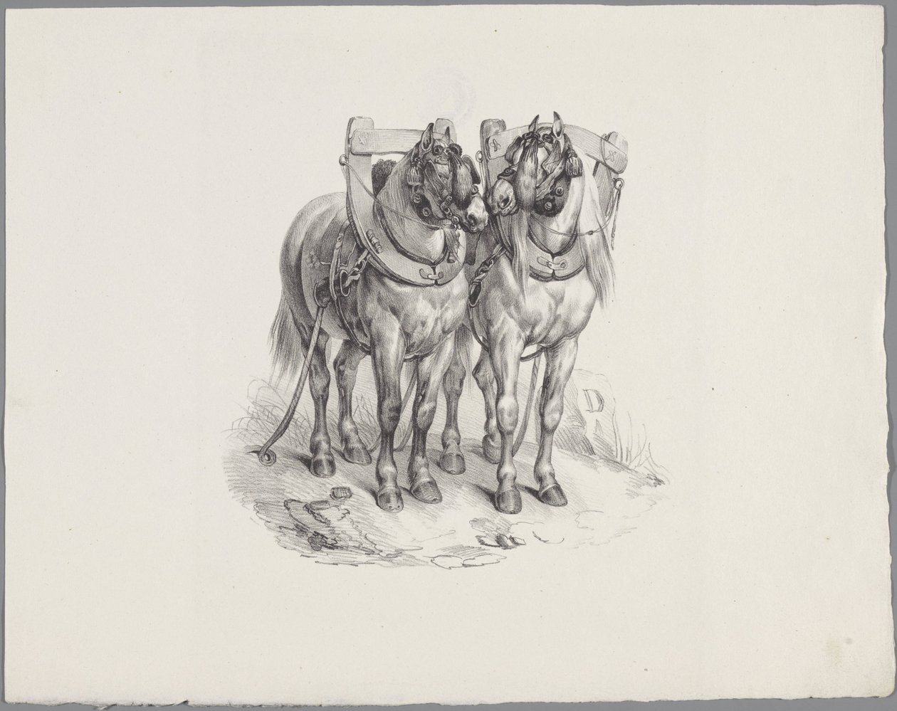 اثنان من الخيول المسخرة ستة دراسات حيوانية صغيرة (عنوان السلسلة) ستة دراسات عن الحيوانات الصغيرة (عنوان السلسلة على الكائن) بواسطة مجهول