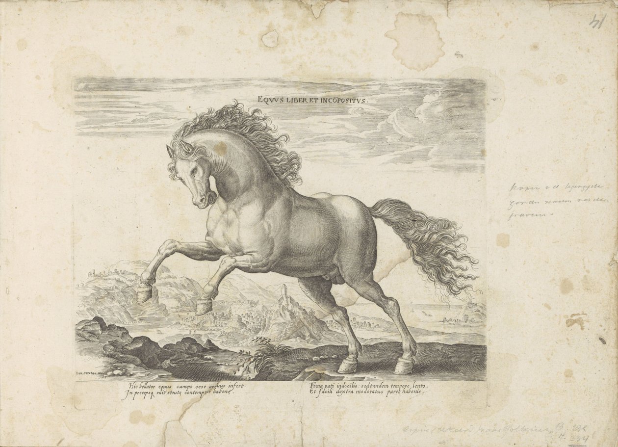 الحصان البري Equus Liber et Incopositus (العنوان على الكائن) الحصان الذي فيه جميع أنواع النبلاء: اختيار سلوك خيول متميز من مختلف أنحاء العالم (...) (عنوان السلسلة على الكائن) بواسطة مجهول