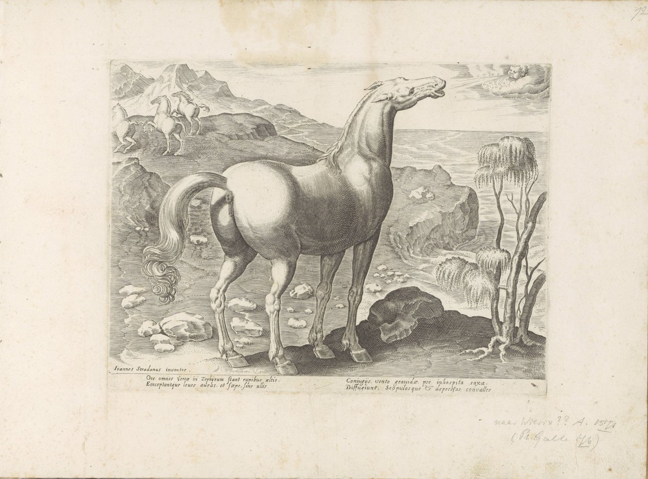 Zephyrus bevrucht een Merrie Paardenrassen uit de Koninklijke stallen van Don Juan van Oostenrijk (عنوان المسلسل) الحصان الذي فيه جميع أنواع النبلاء: اختيار سلوك خيول متميز من مختلف أنحاء العالم (...) (عنوان السلسلة على الكائن) بواسطة مجهول
