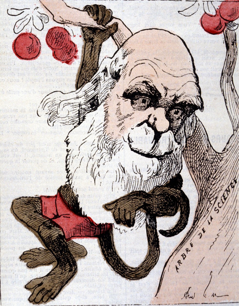 رسم كاريكاتوري لتشارلز روبرت داروين (1809 - 1882) في "La Lune" بواسطة مجهول مجهول