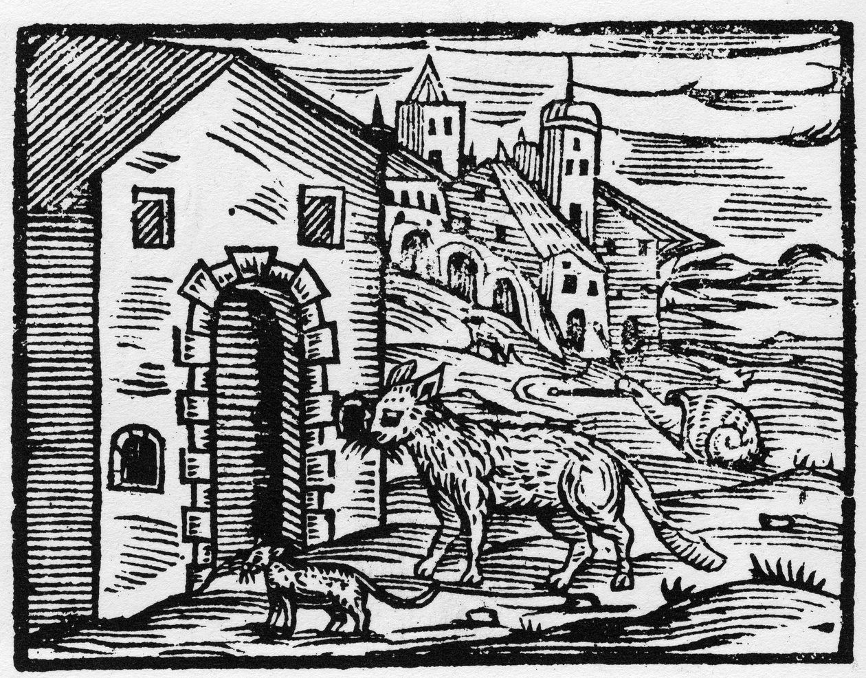 يتحول الشيطان والساحرة إلى ذئب وقط - "" خلاصة Maleficarum "" ، يتعامل مع السحرة وأشرارهم وفرزهم بقلم فرانشيسكو ماريا جوازو أو Guaccio أو Guaccius (15 ؟؟ -16 ؟؟) 1608 مجموعة خاصة بواسطة مجهول مجهول