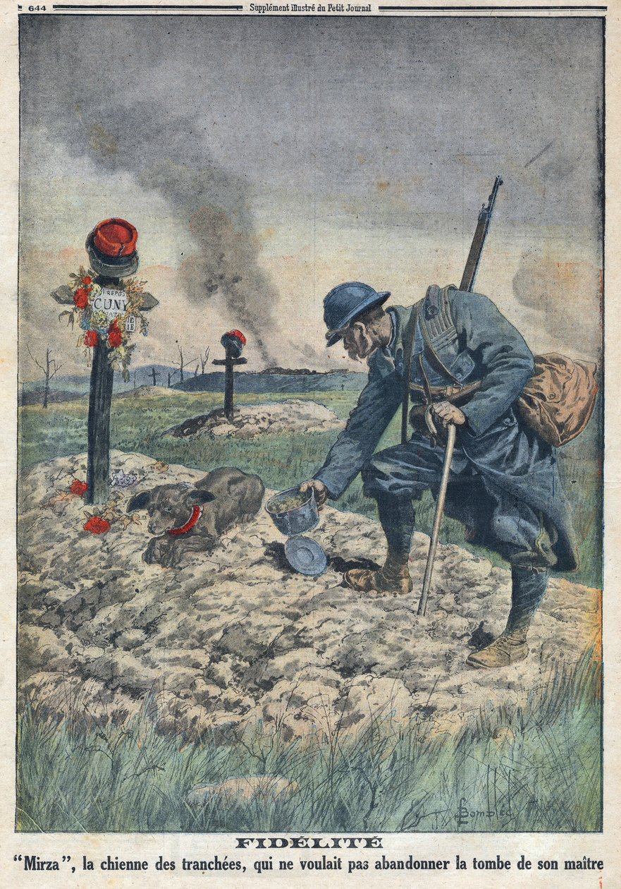 الحرب العالمية الأولى 1914-1918 (الحرب 14-18). كلب يرفض التخلي عن قبر سيدها الميت في الخندق. فى "" لو بيتيت جورنال "فى 10/9/1916. مجموعة خاصة بواسطة مجهول مجهول