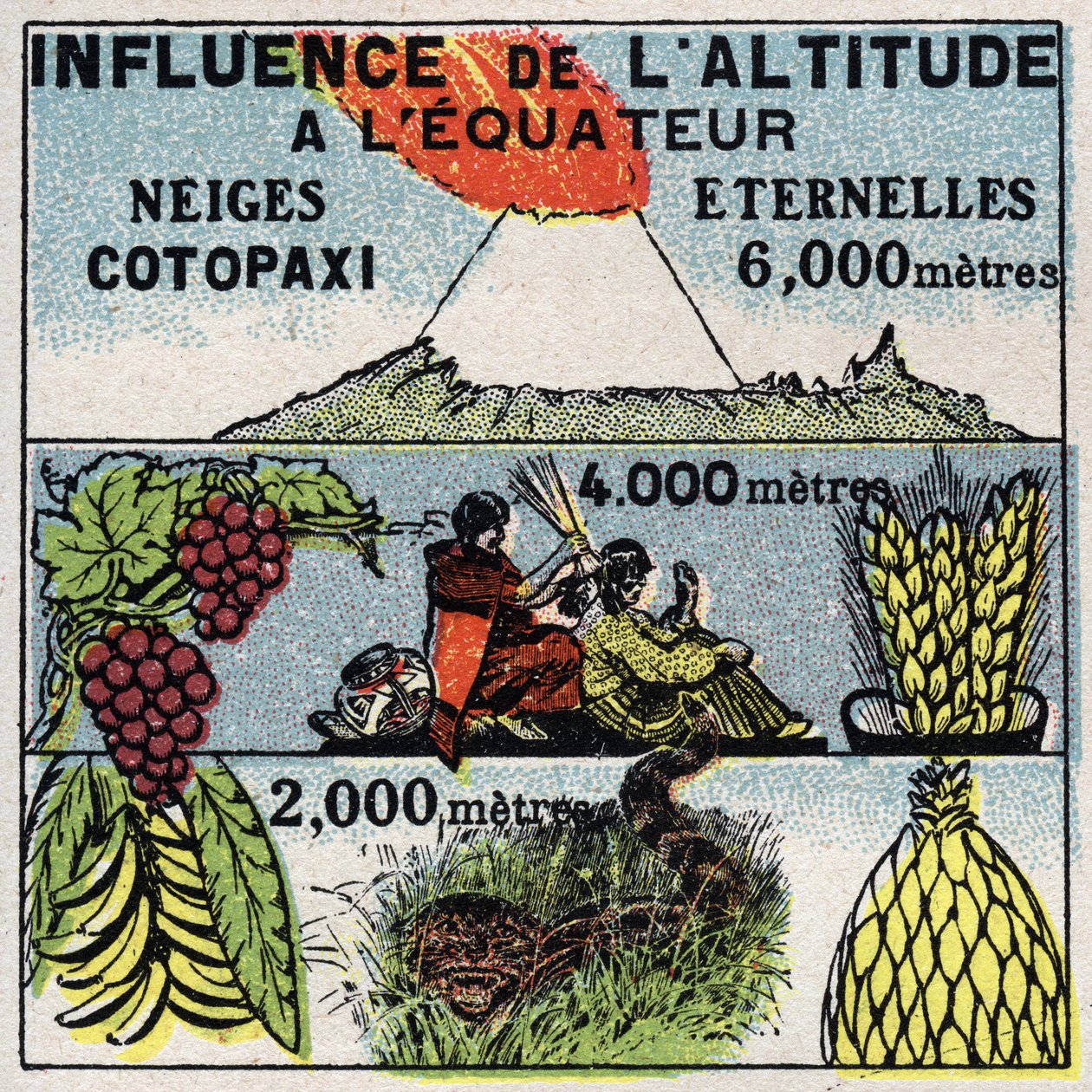 الأرصاد الجوية: تأثير الارتفاع على المناخ. رسم توضيحي مجهول من عام 1925. مجموعة خاصة. بواسطة مجهول مجهول