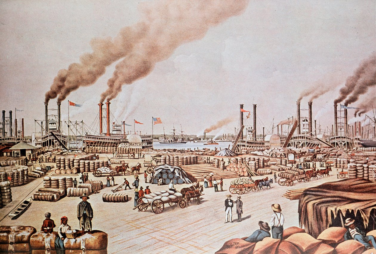 New Orleans Harbour Wharf (الولايات المتحدة): Cotton Loading. 1876. مجموعة خاصة. بواسطة مجهول مجهول