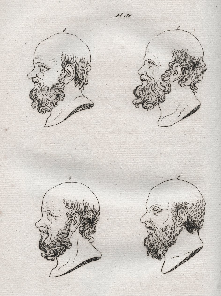 علم الفراسة - علم الفراسة - العديد من رؤساء الفيلسوف اليوناني سقراط (حوالي 469 قبل الميلاد - 399 قبل الميلاد) (تمثال نصفي لسقراط (حوالي 469 قبل الميلاد - 399 قبل الميلاد) ، الفيلسوف الأثيني) نقش عام 1808 في "فن معرفة الرجال من خلال علم الفراسة" ب بواسطة مجهول مجهول