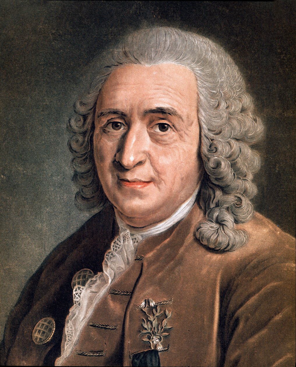 صورة تشارلز لين (كارل فون لين ، لينيوس 1707 - 1778) ، عالم الطبيعة السويدي لوحة مجهولة. القرن ال 18. ميلان ، مجموعة خاصة بواسطة مجهول مجهول