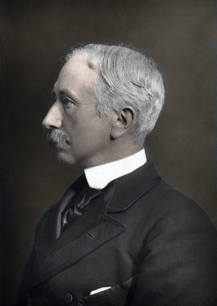 صورة لماريشال فيسكونت جارنت جوزيف وولسيلي (1833-1913) ، القائد العام للجيش البريطاني بواسطة مجهول مجهول