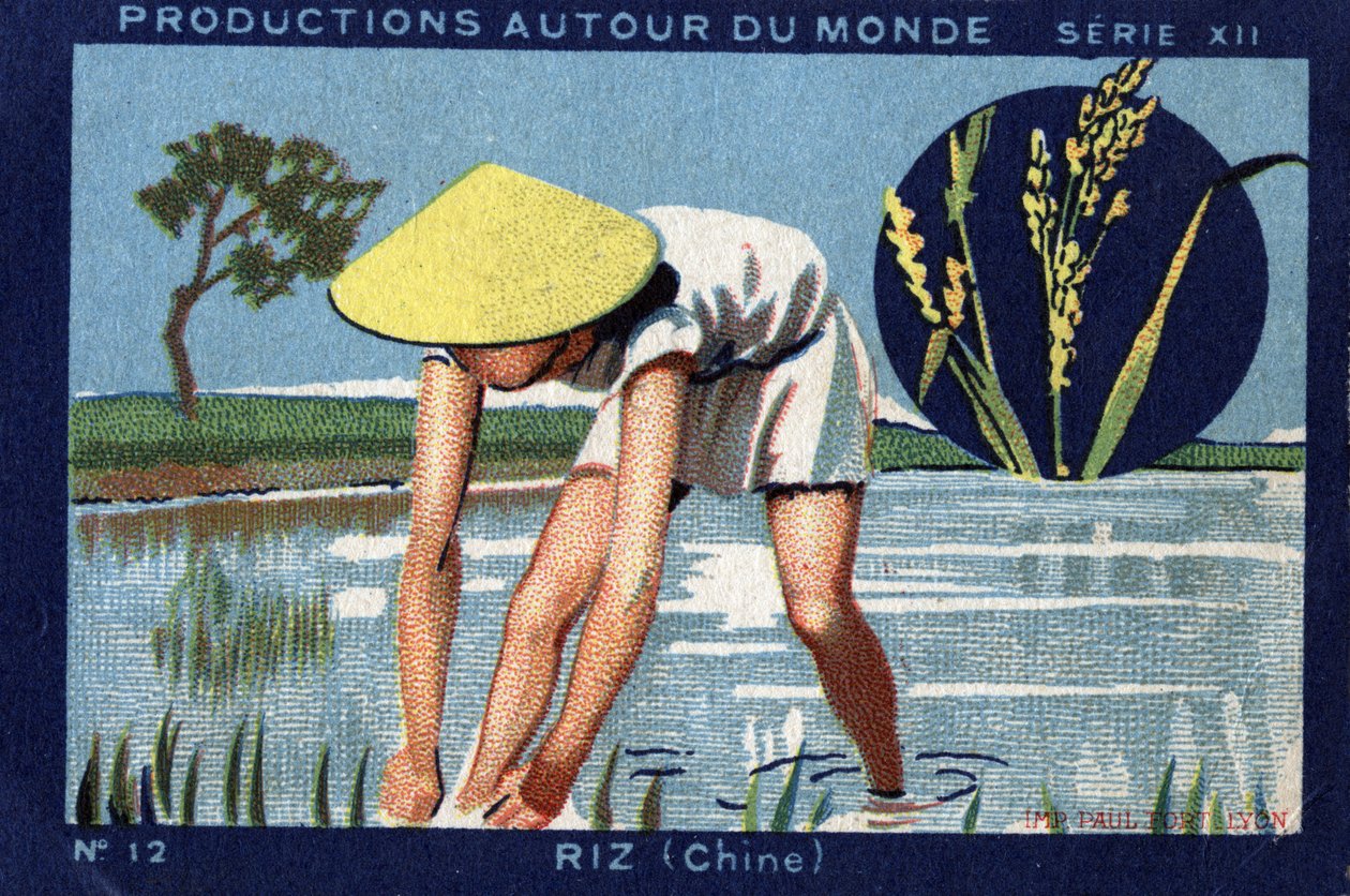 إنتاجات حول العالم: أرز في الصين. 1933 Chromolithography in "" Joseph-Milliat Album "" بواسطة مجهول مجهول