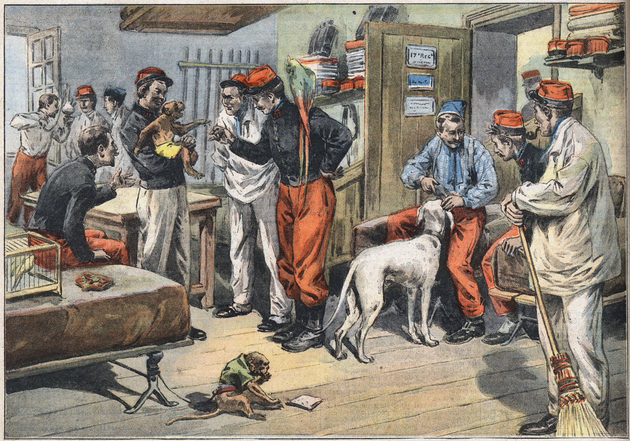 عودة جنود الجيش الفرنسي من إفريقيا إلى تونس. نقش من جريدة "Le Petité Parisien" 7/06/1908. مجموعة خاصة. بواسطة مجهول مجهول
