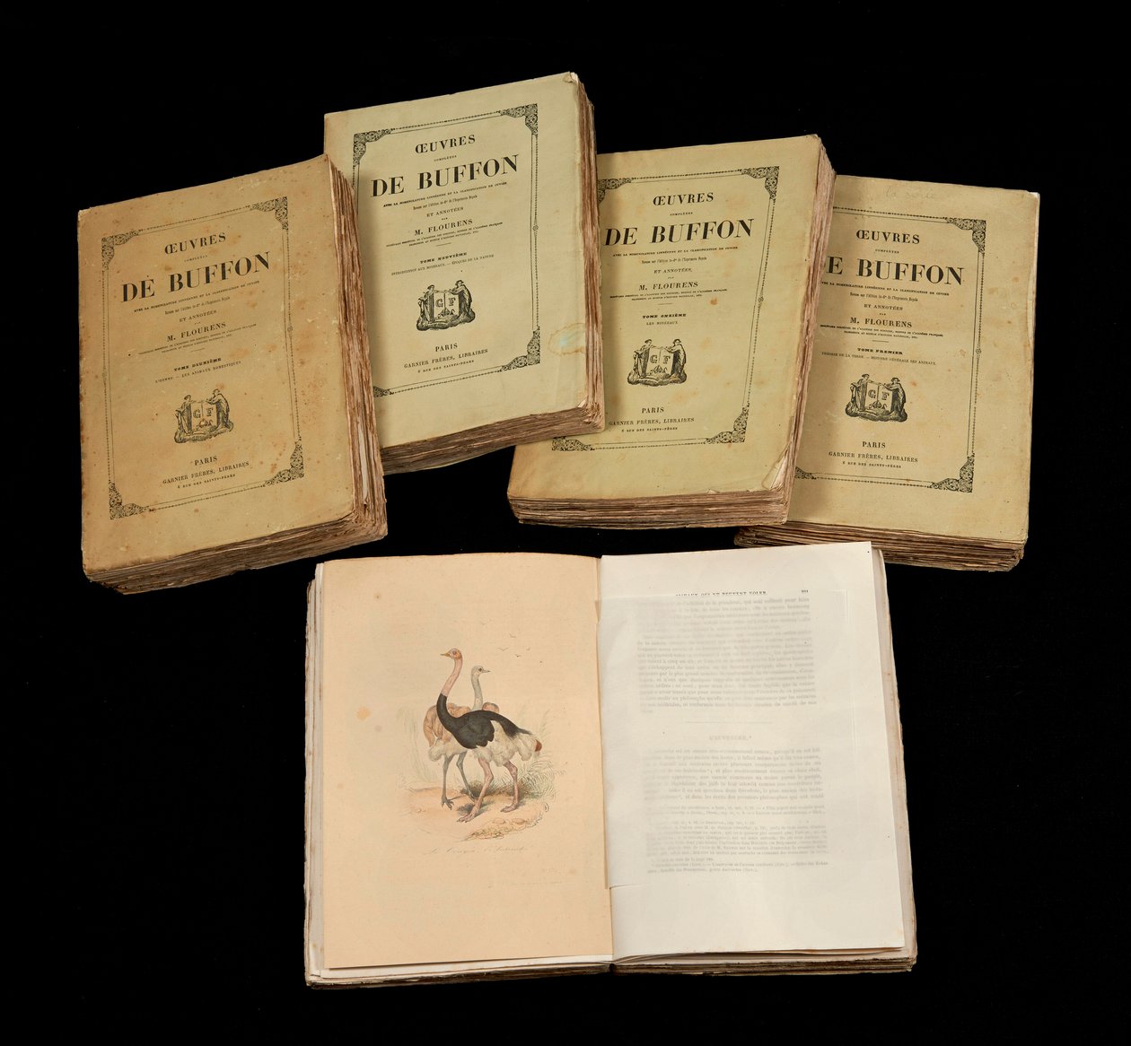 الأعمال الفنية الكاملة لبوفون (1707 - 1788) - مجموعة خاصة بواسطة مجهول مجهول
