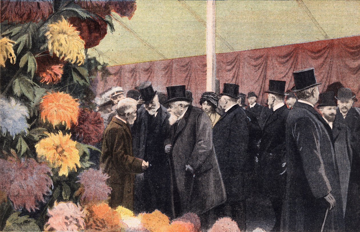 حفلة الأقحوان: معرض الأقحوان الرسمي. نقش. احدى جريدة "Le petit parisien" بتاريخ 20/11/1910. مجموعة خاصة. بواسطة مجهول مجهول