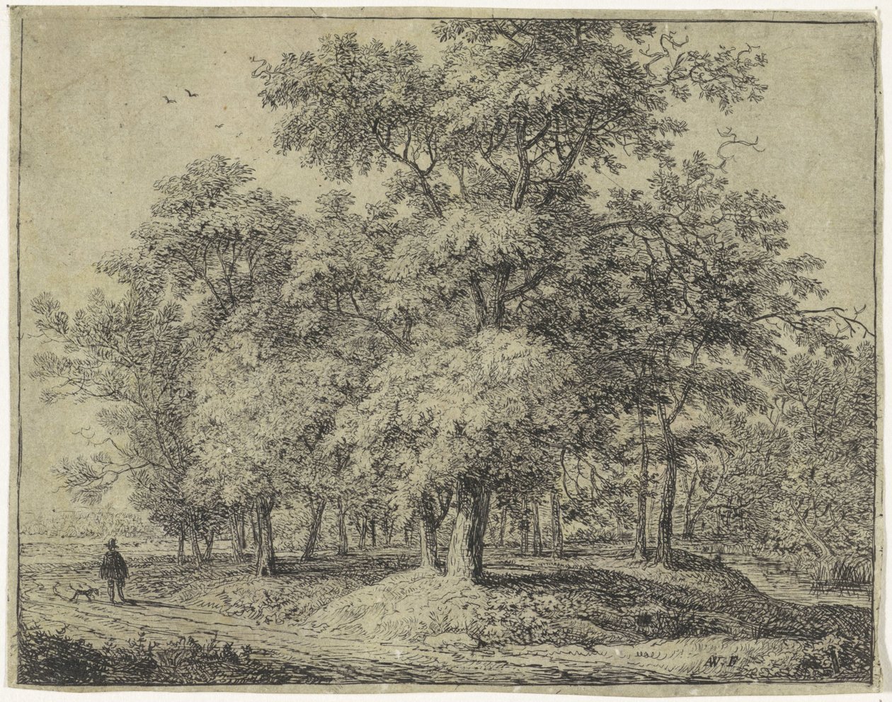 رجل مع كلب في غابة Woodland Views ، Series A (عنوان السلسلة) بواسطة أنتوني واترلو