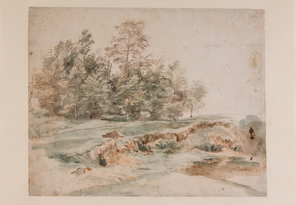 A clump of trees by a wooded road (pencil & watercolor on paper) بواسطة أنتوني فان ديك