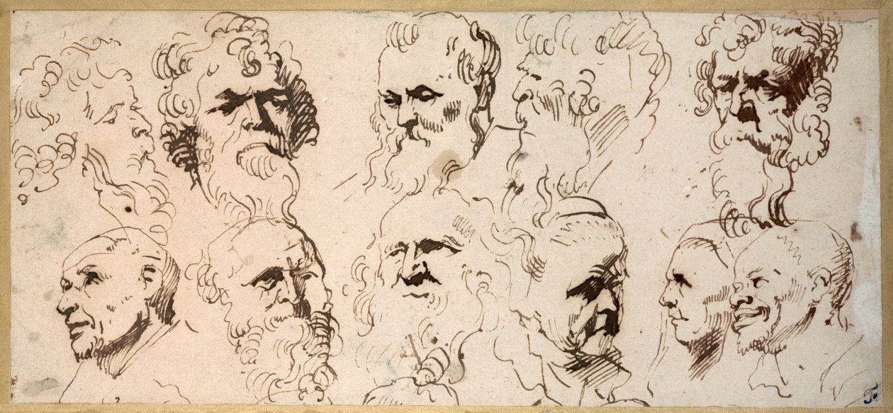 Eleven head studies (pen & brown ink on paper) بواسطة أنتوني فان ديك